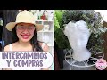 Mi primer intercambio de plantas y algunas compritas de macetas │Candy Bu