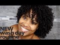 natural hair care: updated wash day routine for 3C curls || alyssa marie