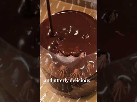 Experience the ultimate