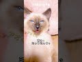 【今日のアオくん】ミャウミャウ食って暴れた
