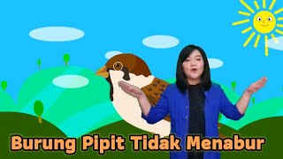 Burung Pipit Tidak Menabur (Gerak dan Lagu Sekolah Minggu)