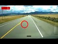 AVOIDS! Driver AVOIDS Deer by Inches! 🦌 #dashcam #closecall #wildlife