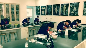 Experimental Biology: Exploring the Scientific Method in Action"