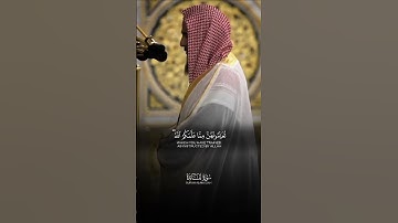 تلاوة جميلة من سورة المائدة للشيخ:#أحمد_بن_طالب #القرآن_الكريم #المسجد_النبوي #تلاوات #تلاوة