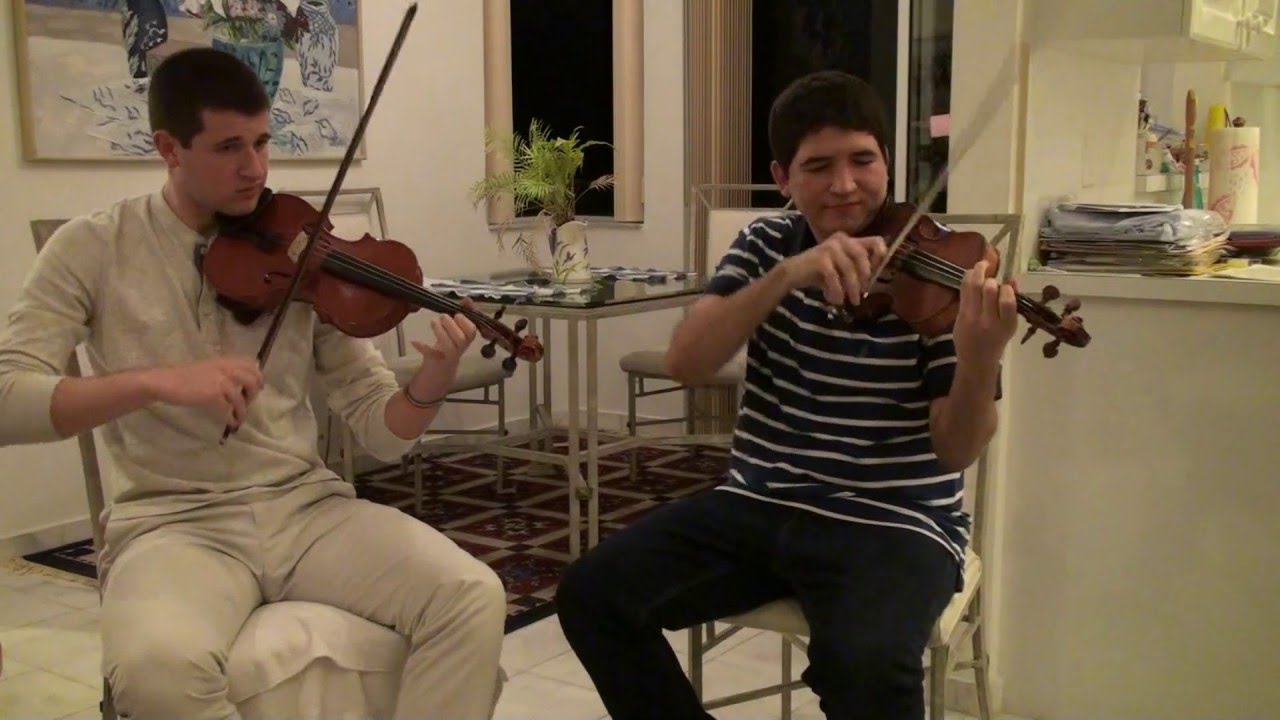 Stitches by Shawn Mendes! Two violin cover