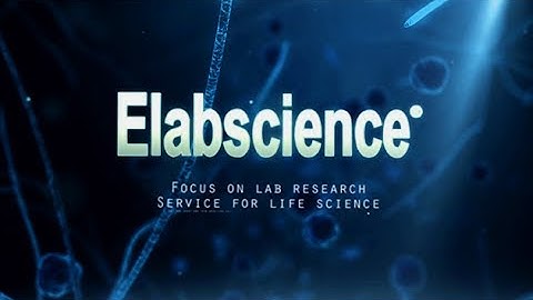 Introduction to Elabscience Biotechnology