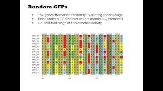 'Big Data' approaches to modeling translation