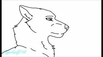 Small Animation Dump