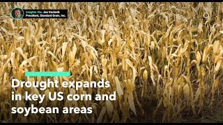 Drought Expands in Key US Corn and Soybean Areas