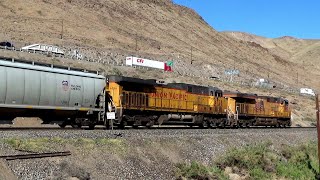 Union Pacific EB Grain Train