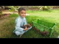 Cute bunnies  day out  rabbit farming  funny animals mehranvalley