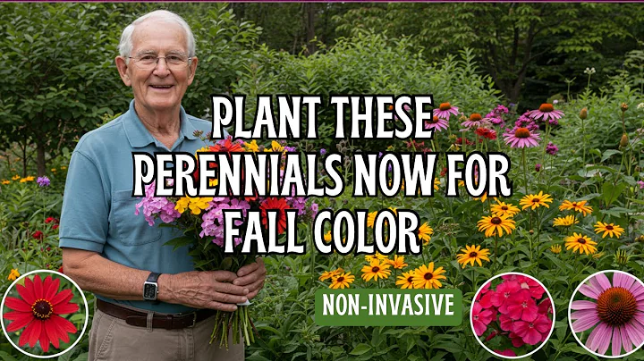 2 Perennials That Will Explode with Color in Your Late Summer & Fall Garden (You'll Want Them All!) 