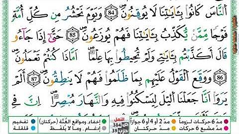 (مكررة) حفظ سورة النمل (17) للقارئ الشيخ محمد سايد