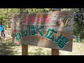 羊山公園 冒険の森 わんぱく広場