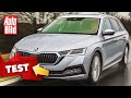 Skoda Octavia IV Combi (2020): Test - Motor - Kofferraum - Infos