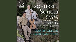 Violin Sonata No. 3 in G Minor, Op. 137 No. 3, (Arr. for Arpeggione by Martin Zeller) : I....