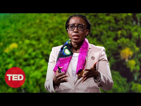 The African Swamp Protecting Earth's Environment | Vera Songwe | TED