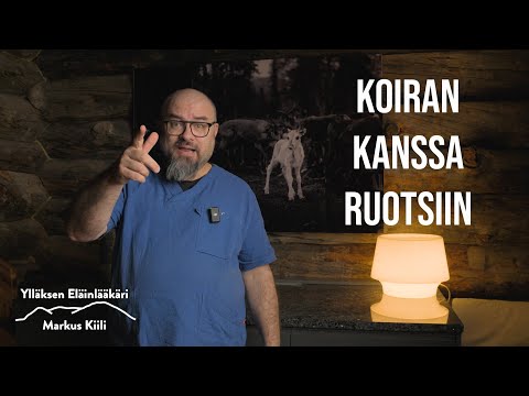 Video: Kuinka matkustaa Ruotsiin koiran kanssa