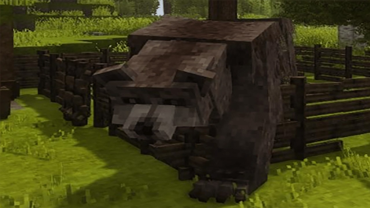 Târgumureșean terorizat de urs în fața casei