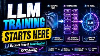 LLM Training Starts with Data & Tokens