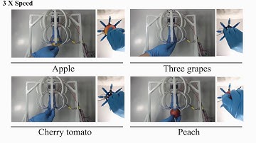 A Thermoplastic Elastomer Belt Based Robotic Gripper
