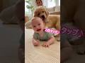 【癒し限界突破】赤ちゃんとゴールデン、まるで本当の兄弟🐶👶 [Pure Healing] This Baby and Golden Retriever Are Basically Brothers