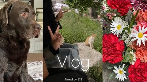 [Vlog]열심히 먹고 다닌 직장인의 일상 | 4개월만에 간 전주에서 생긴 일 | 멋쟁이와 재회 | 직장인브이로그