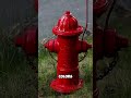 The reason why fire hydrants are painted different colors🚒