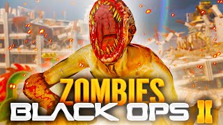 Les SECRETS de DIE RISE sur BLACK OPS 2 ZOMBIE! 🐉 (Retour Secrets Zombie Old School)