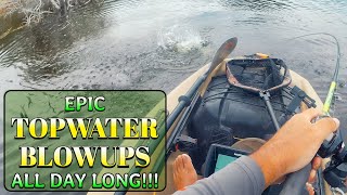 EPIC TOPWATER BLOWUPS ALL DAY LONG!!!  Roosevelt Lake,  AZ #fishing