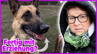 Hund erziehen I Das gehört für mich dazu - VLOG by DOGsTV - Online Hundetraining 12,299 views 1 year ago 12 minutes, 45 seconds