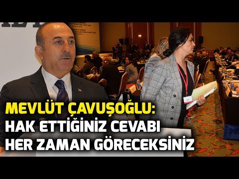 Mevlüt Çavuşoğlu'ndan, Fransız parlamentere 1915 olayları tepkisi