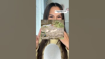 what did YOU get?? #asmr #explore #explorepage