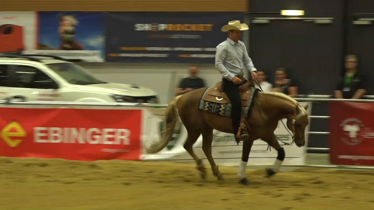 MISTER GOLD WHIZ & Josef Mittmannsgruber --- Open Maturity NRHA --- Wels Mai 2019