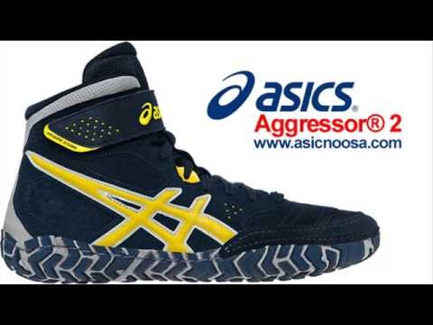 wrestling aggressors