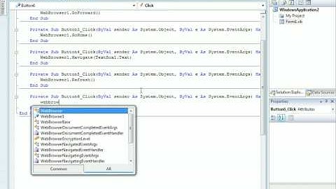 How to make a WebBrowser in Visual Basic 2008 Express