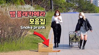 A collection of the best snake reactions🐍Everyone started running!!!! Haha