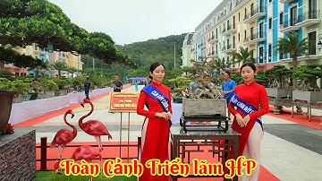 Toàn Cảnh Triển lãm CCNT Đất cảng tại Đồ Sơn HP