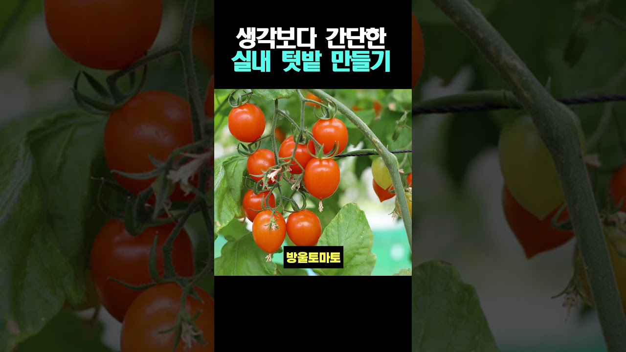 생각보다 간단한 실내텃밭 만들기