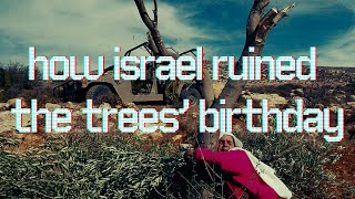 What is Tu B'Shvat, and why does the Israeli state exploit trees for genocide?