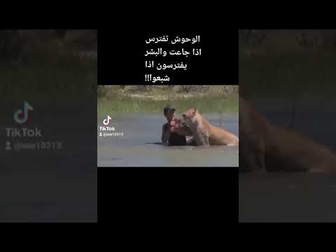 بهذاالزمن اوحوش اكثر رحمة ورقة من البشر الذين يفترسون اذاجاعوا واذاشبعوا