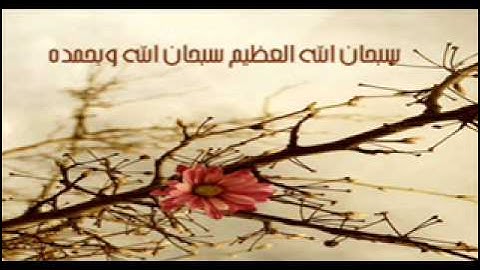 سورة البقره بصوت الشيخ أحمد الحواشي .wmv