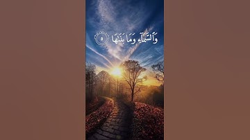 Surat Ash-Shams (The Sun)  |1-9| | سورة الشمس| |Quran hakim360|