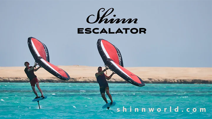 Shinn ESCALATOR Wing | Shinnworld