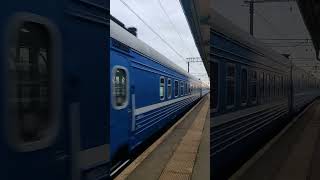 поезд из Бреста мчит в Петербург. #железнаядорога #поезд #тэп70 #train #бч