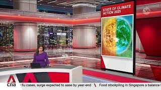 Global coal use reached record high in 2024: Report