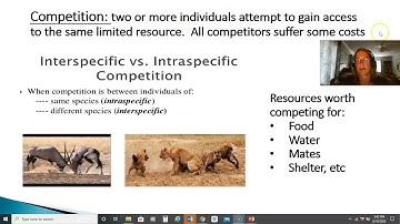 Module 2 Topic 4 Community Ecology Competition