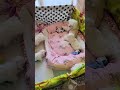 무자식이 개팔자