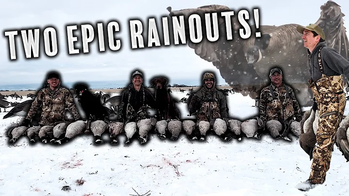 Two EPIC Rainouts | Goose Hunting fresh snow on the Front Range of Colorado!