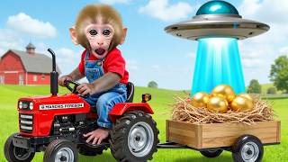 Monkey Nana Driving A Tractor Overturns,Then Sieves Soybeans Clean And Grinds Them Into Flour